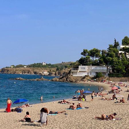 Maison De Flo Centre Historique Argeles Sur Mer 外观 照片