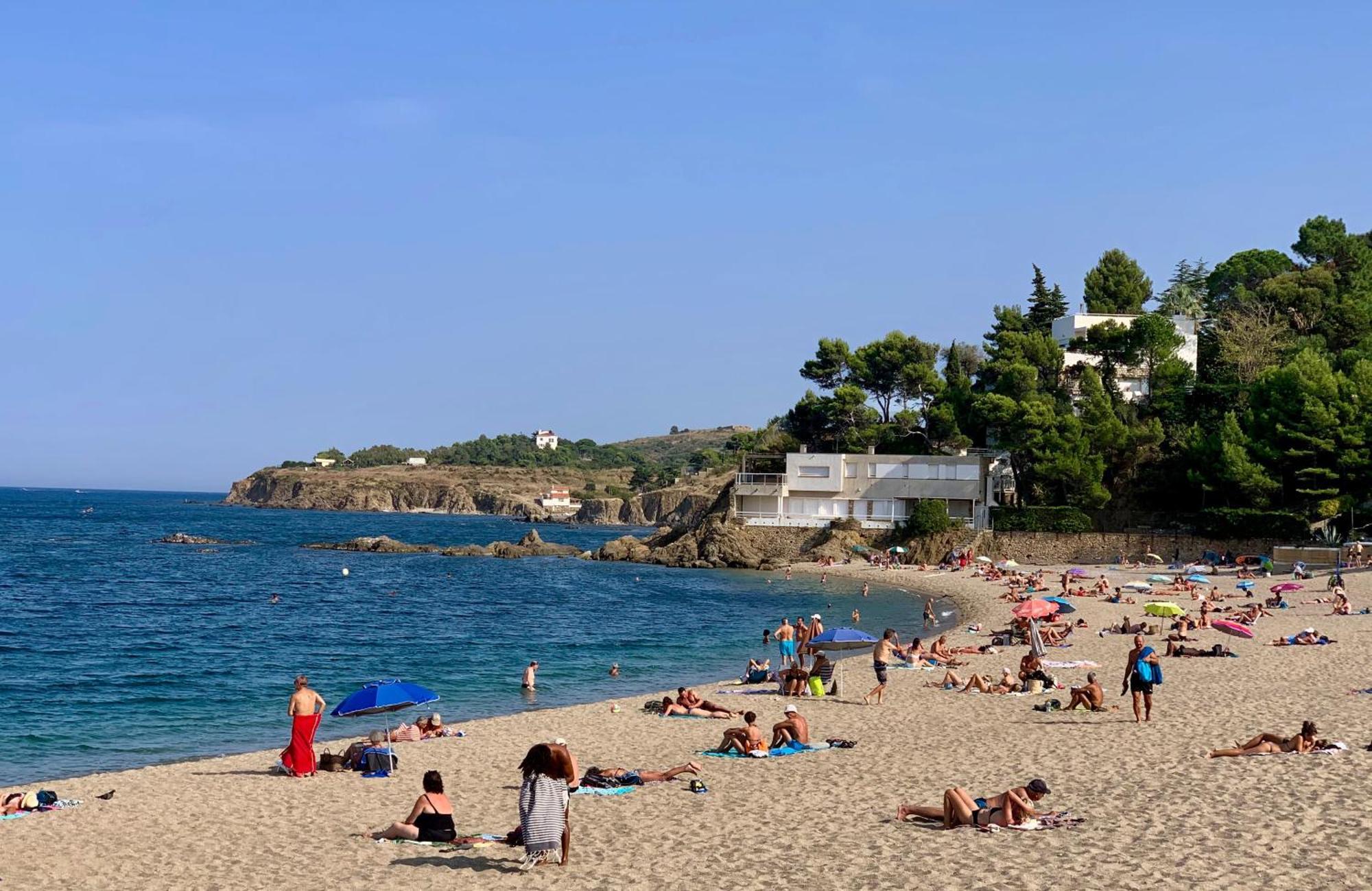 Maison De Flo Centre Historique Argeles Sur Mer 外观 照片